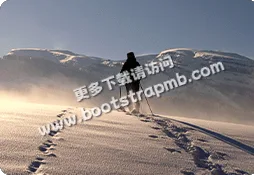 精准足球数据 - 澳客网官网tianxing